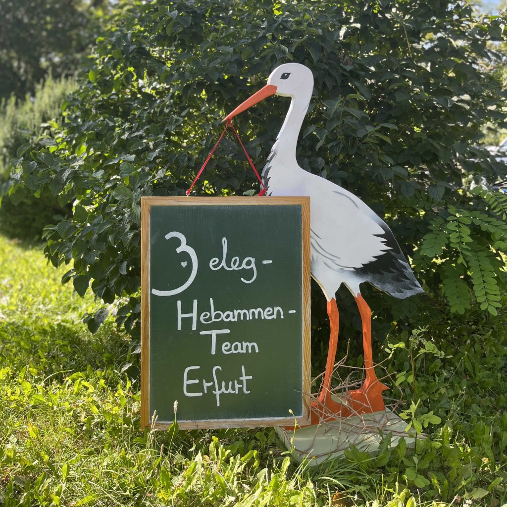 Storch mit Tafel. Tafel mit Aufschrift "Beleghebammenteam Erfurt"